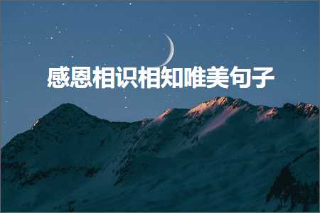 网站的推广方案 感恩相识相知唯美句子（文案659条）